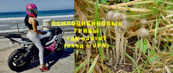прущие крисы Магас