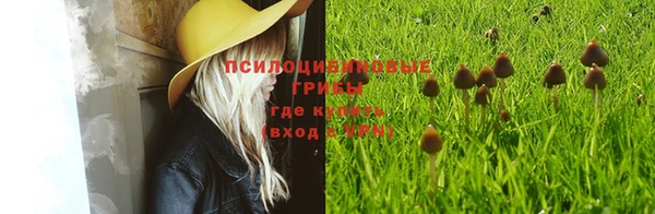 прущие крисы Магас